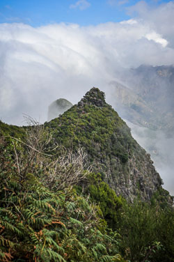 2011 Madeira