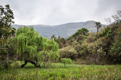 2014 Spioenkop Nature Reserve (Zuid-Afrika)