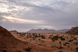2016 Tiras Mountains (Namibië) 