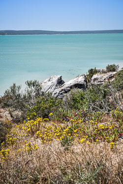 2016 Weskus National Park (Zuid-Afrika)