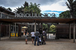 2013 Honolulu Zoo (Honolulu Hawaii)