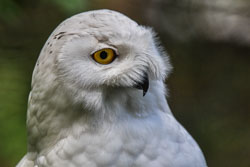2022 Ouwehands Dierenpark 2022 Ouwehands Dierenpark
