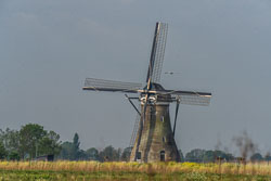 RVP_9557.jpg