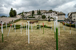 2006 Assisi (Italië) 