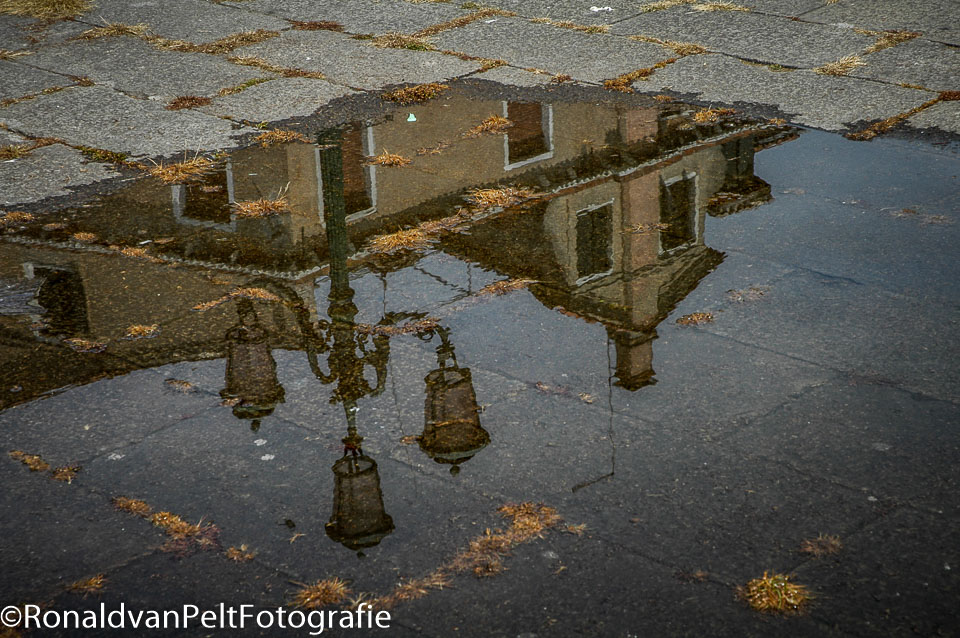 DSC_4721.jpg