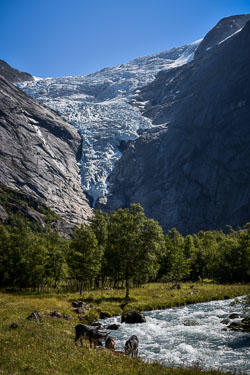 2018 Briksdal Gletsjer (Noorwegen) 