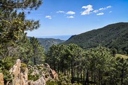 2019 Bavella (Corsica) 2019 Bavella (Corsica)