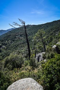 2019 Bavella (Corsica)