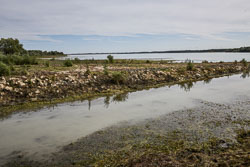 2019 Mesnil Saint-Père (Frankrijk) 2019 Mesnil Saint-Père (Frankrijk)
