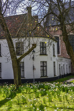 2022 Brugge (Belgie) 2022 Brugge (Belgie)