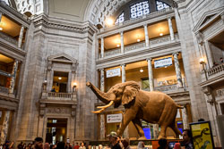 2019 Smitsonian Museums Washington DC (USA) 2019 Smitsonian Museums Washington DC (USA)