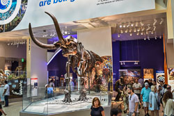 2019 Smitsonian Museums Washington DC (USA) 2019 Smitsonian Museums Washington DC (USA)