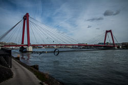 2008 Rotterdam 2008 Rotterdam