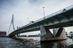2008 Rotterdam 2008 Rotterdam