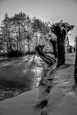 2012 Winter in de Krimpenerwaard 2012 Winter in de Krimpenerwaard