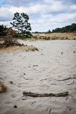 2018 Kootwijkerzand