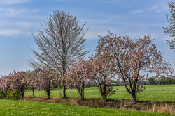 2019 Geesbrug (Drenthe) 2019 Geesbrug (Drenthe)