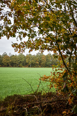 2019 Camping Drentsheerlijk in de herfst (Geesbrug Drenthe) 2019 Camping Drentsheerlijk in de herfst (Geesbrug Drenthe)