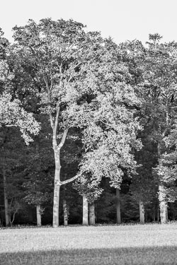 2020 Doetinchem (Gelderland) 2020 Doetinchem (Gelderland)