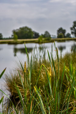 2020 Havelte (Drenthe) 2020 Havelte (Drenthe)