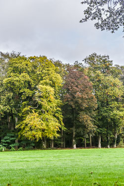 2020 Hengelo (Gelderland)