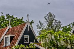 2020 Zuidoostbeemster 2020 Zuidoostbeemster