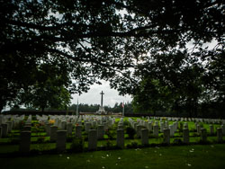 2021 Berg en Dal (Gelderland) 2021 Berg en Dal (Gelderland)