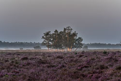 2021 Ede (Gelderland) 2021 Ede (Gelderland)