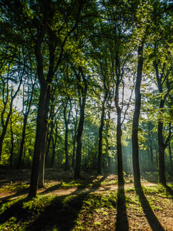 2021 Zeist (Utrecht) 2021 Zeist (Utrecht)