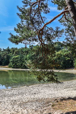 2022 Ees (Drenthe) 2022 Ees (Drenthe)