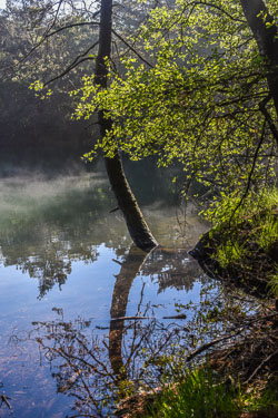 2022 Leggelderveld (Drenthe) 2022 Leggelderveld (Drenthe)