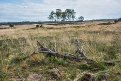 2022 Loenen (Gelderland)