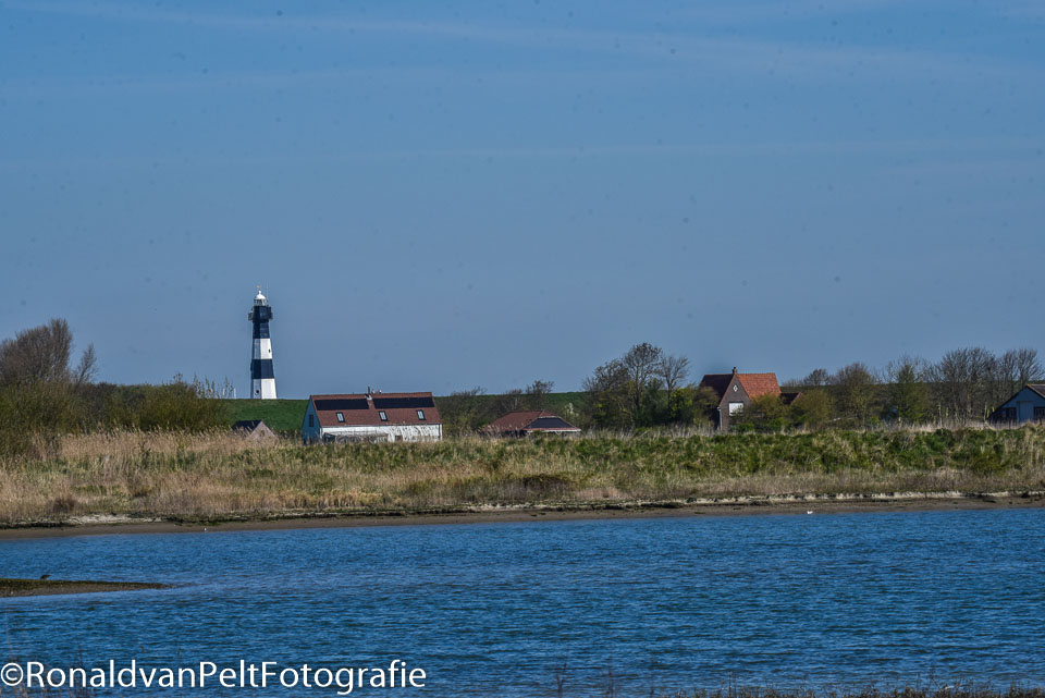 RVP_8955.jpg