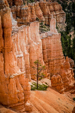 2007 Brice Canyon (Utah) 2007 Brice Canyon (Utah)