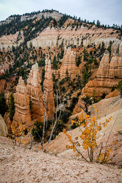 2007 Brice Canyon (Utah)