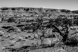 Capitol Reef (Utah)