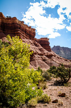 Capitol Reef (Utah) Capitol Reef (Utah)