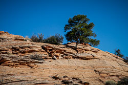 Capitol Reef (Utah) Capitol Reef (Utah)