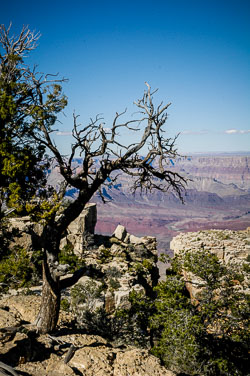 2007 Grand Canyon (Arizona)