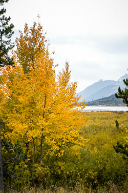 2007 Grand Teton (Wyoming)