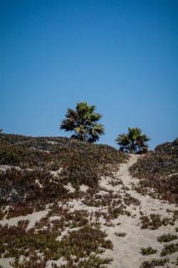 2007 Highway 1 (Californië) 2007 Highway 1 (Californië)