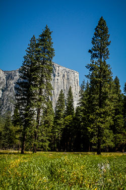 2007 Yosemite (Californie)