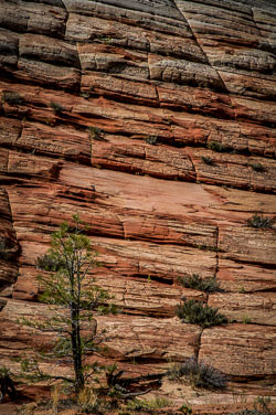 2007 Zion (Utah) 2007 Zion (Utah)
