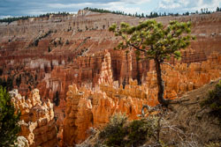 2009 Brice Canyon (Utah)