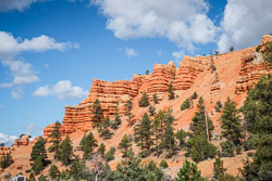 2009 Brice Canyon (Utah) 2009 Brice Canyon (Utah)