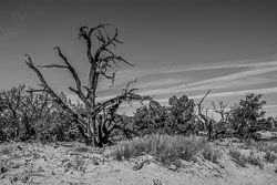 2009 Canyonlands (Utah)