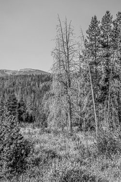 2009 Rocky Mountain National Park (Colorado)