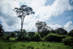 2010 Rincon de la Vieja (Costa Rica)