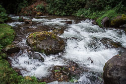 2010 San Gerardo da Dota (Costa Rica)