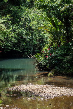 2010 Sarapiqui (Costa Rica)